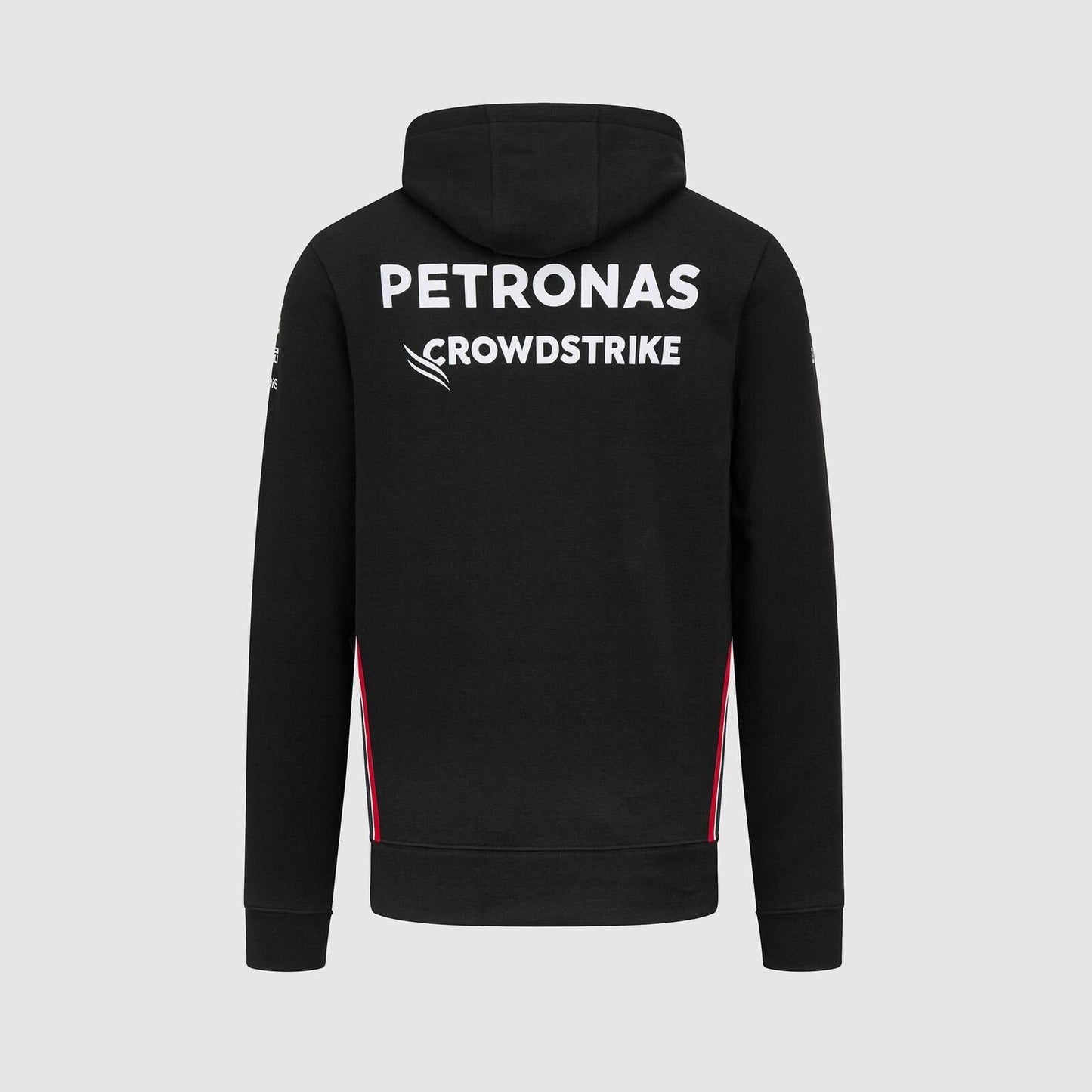 Team Hoodie