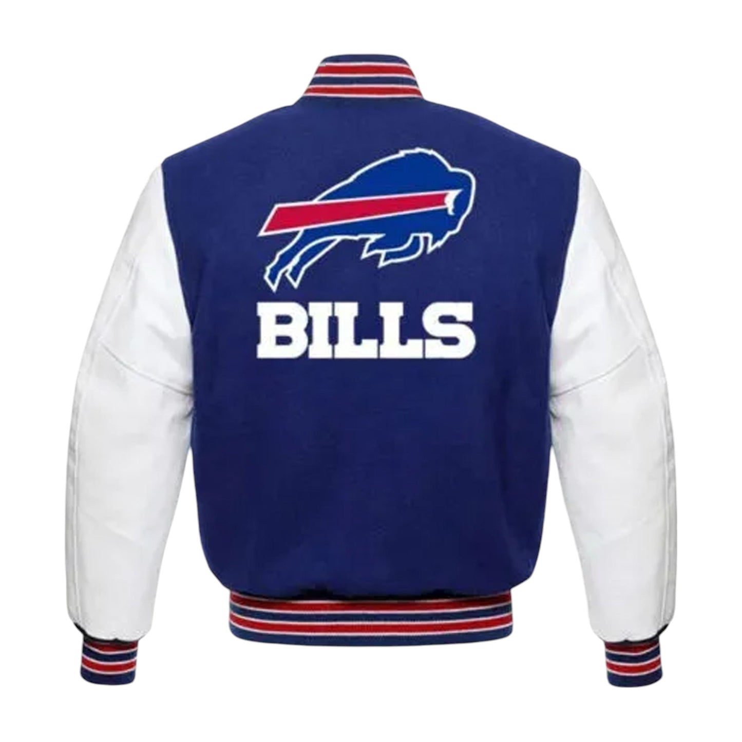 Varsity Jacket / Letterman Jacket / Bomber Jacket / Team Jacket