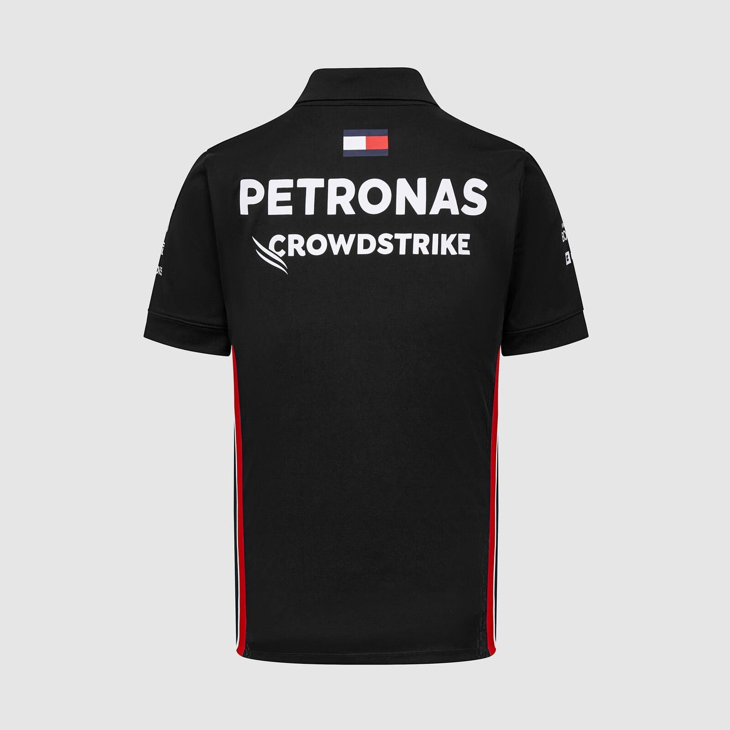 Team Polo